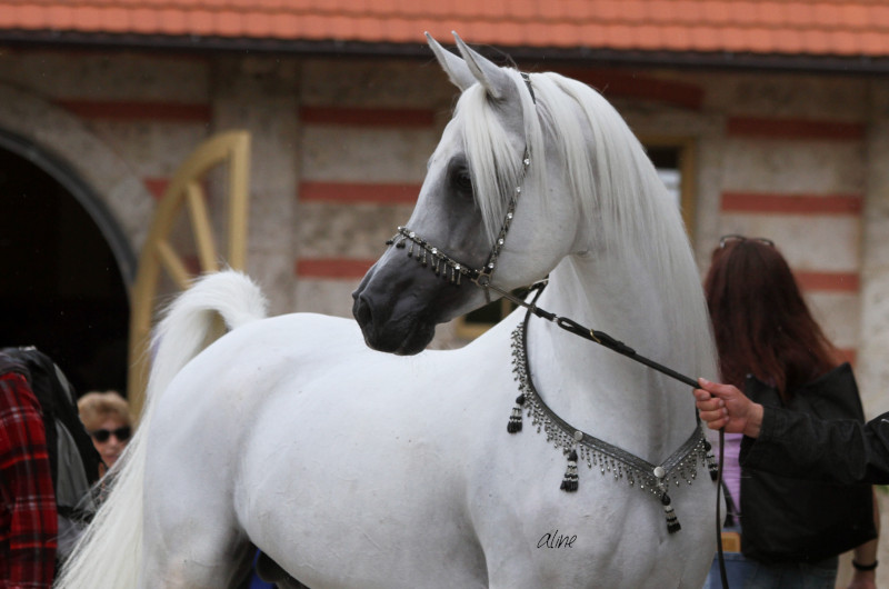 KP Noury