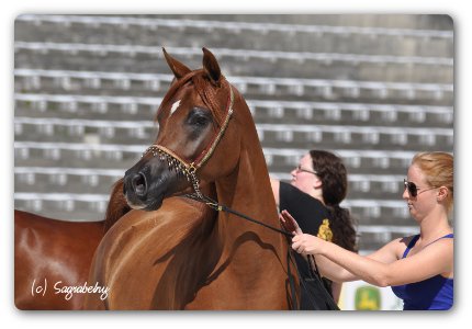 Angel Afrikhan Queen