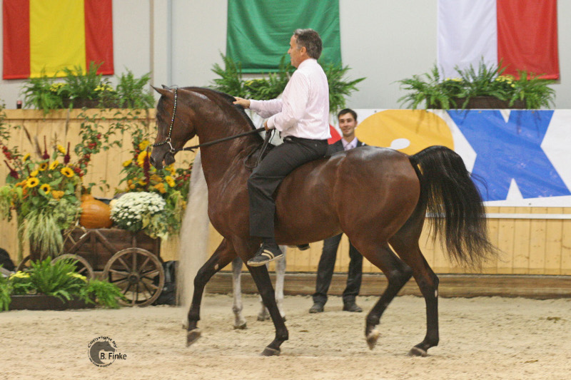 Marwan Al Shaqab