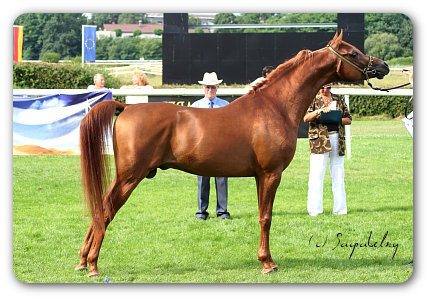 Psadisho Ibn Esstashan